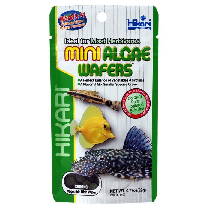 Hikari Algae Wafers Mini Fish Food - PetBuy