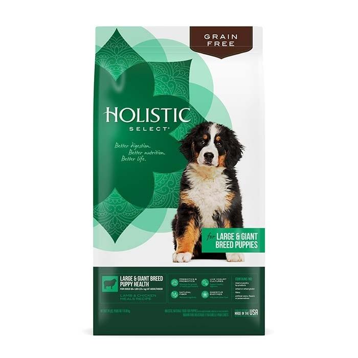 Holistic Select Grain Free Lamb & Chicken Meal Large Breed Puppy Food 10.88kg - PetBuy