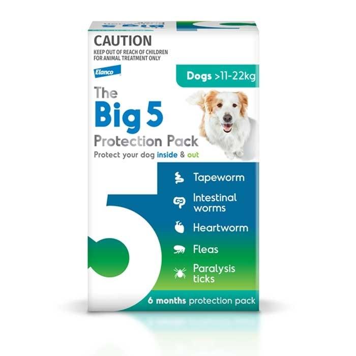 The Big 5 Large 11-22kg Dog Flea Tick & Worm Chew 6 Pack - PetBuy
