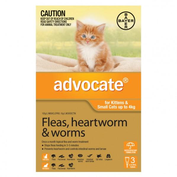 Advocate Orange For Small Cat - PetBuy
