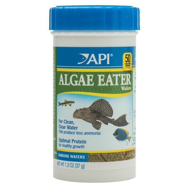 API Algae Eater Fish Wafers 37g - PetBuy