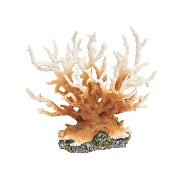 Aqua One Gorgonian Coral Aquatic Ornament - PetBuy