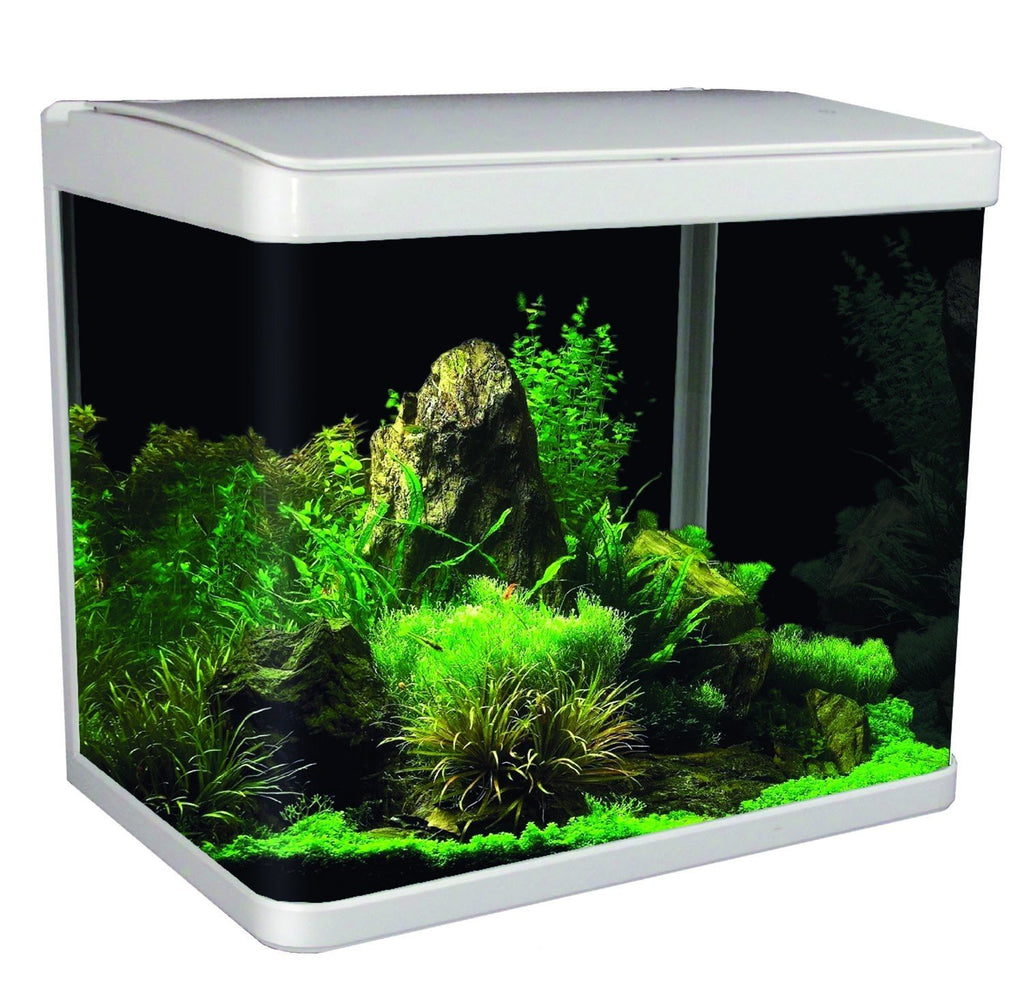 Aqua One Lifestyle Glass Aquarium White 29L - PetBuy