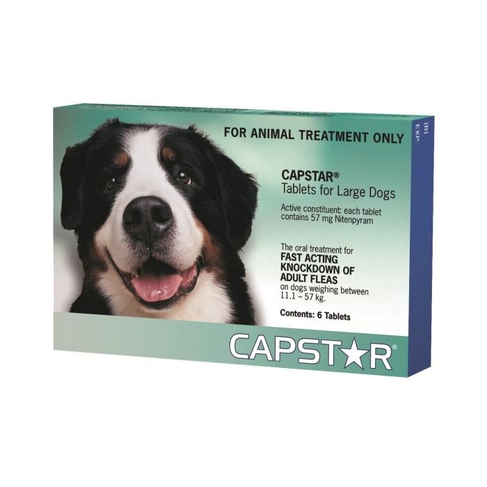 Capstar Large Dog Flea Treatment - PetBuy