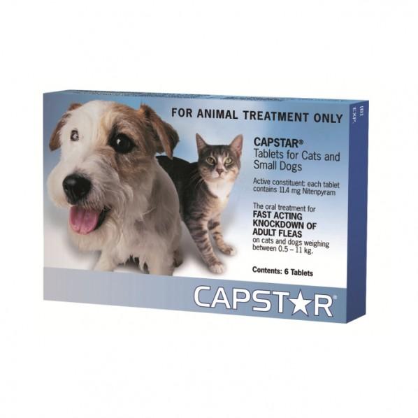 Capstar Small Dog & Cat Flea Treatment - PetBuy