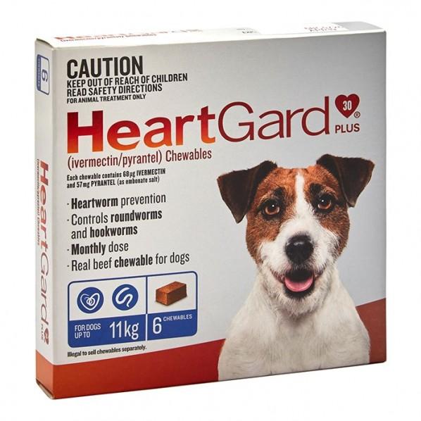 Heartgard Plus Chew For Small Dogs Blue 6Pk - PetBuy