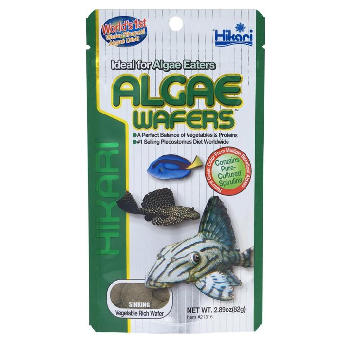 Hikari Algae Wafers Fish Food - PetBuy