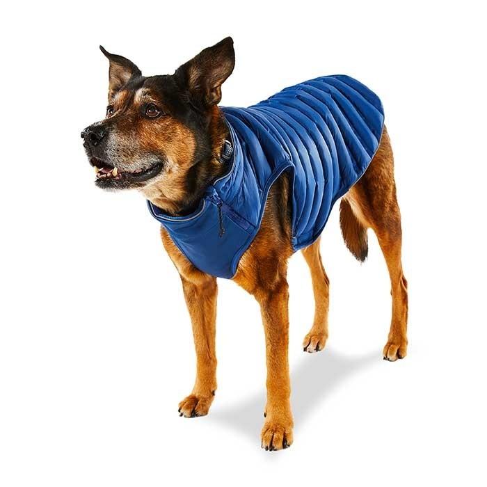 Kong Parachute Dog Puffer Blue - PetBuy