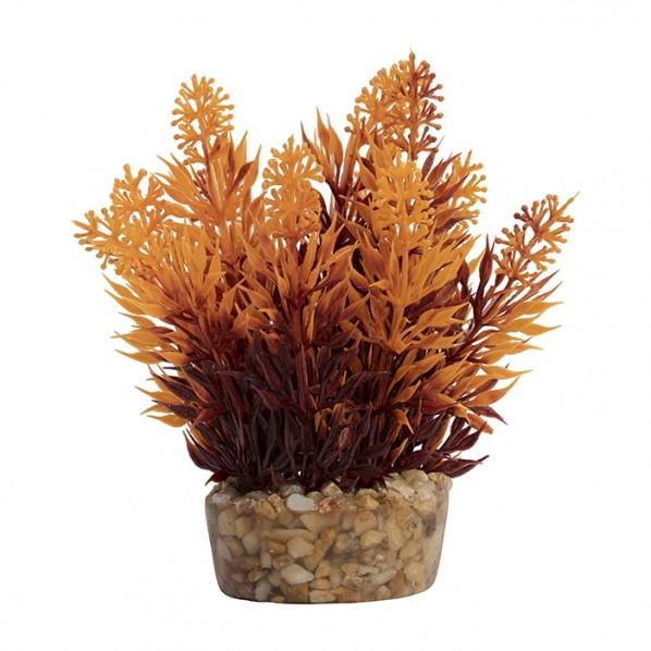 Let's Decorate Plant Bottlebrush Leaf Aquatic Ornament Mini - PetBuy