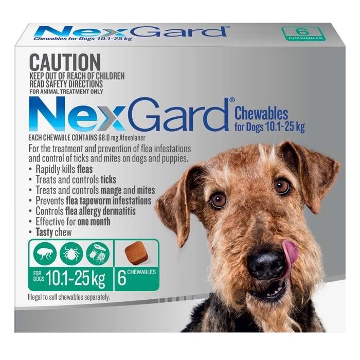 Nexgard For Large Dog 10.1 - 25kg - PetBuy