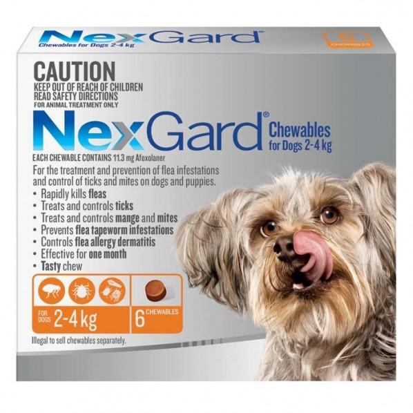 Nexgard For Small Dog 2 - 4kg - PetBuy