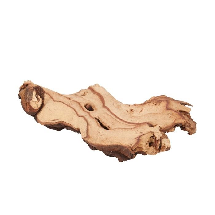 Pisces Natural Mopani Aquatic Driftwood Medium - PetBuy