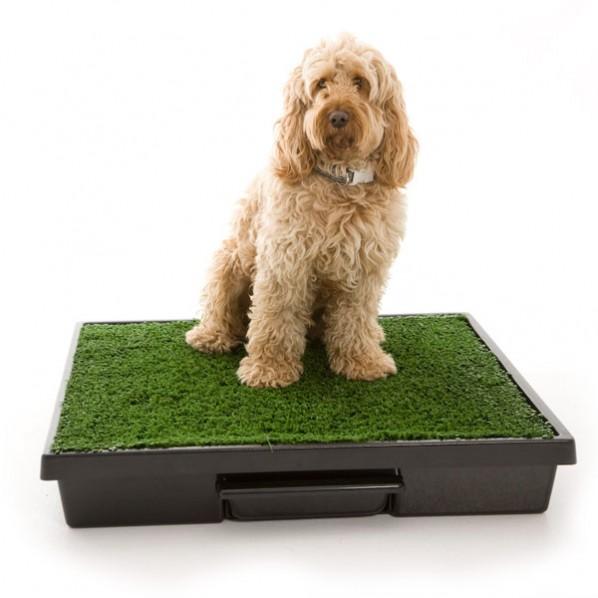 Pup Pee Solution Pet Loo Large 83x83x14cm - PetBuy