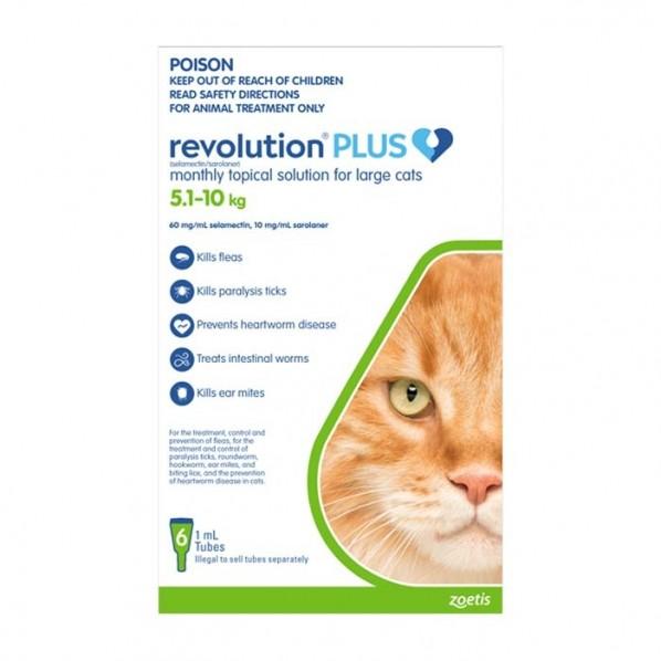 Revolution Plus Large Cat Flea, Tick & Worm Pipette 6 Pack - PetBuy