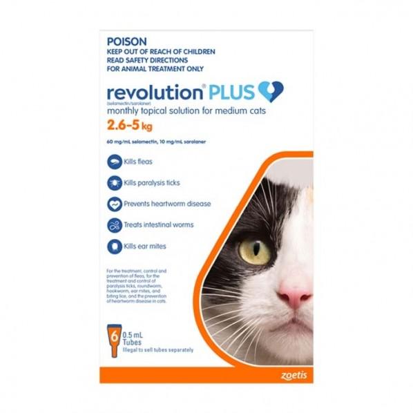 Revolution Plus Medium Cat Flea,Tick & Worm Pipette 6 Pack - PetBuy