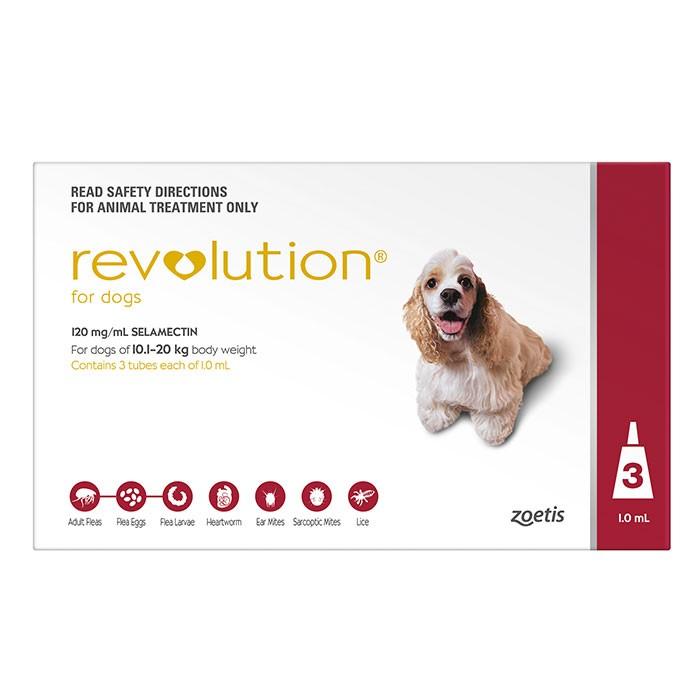 Revolution Red For Medium Dogs 10 - 20kg - PetBuy