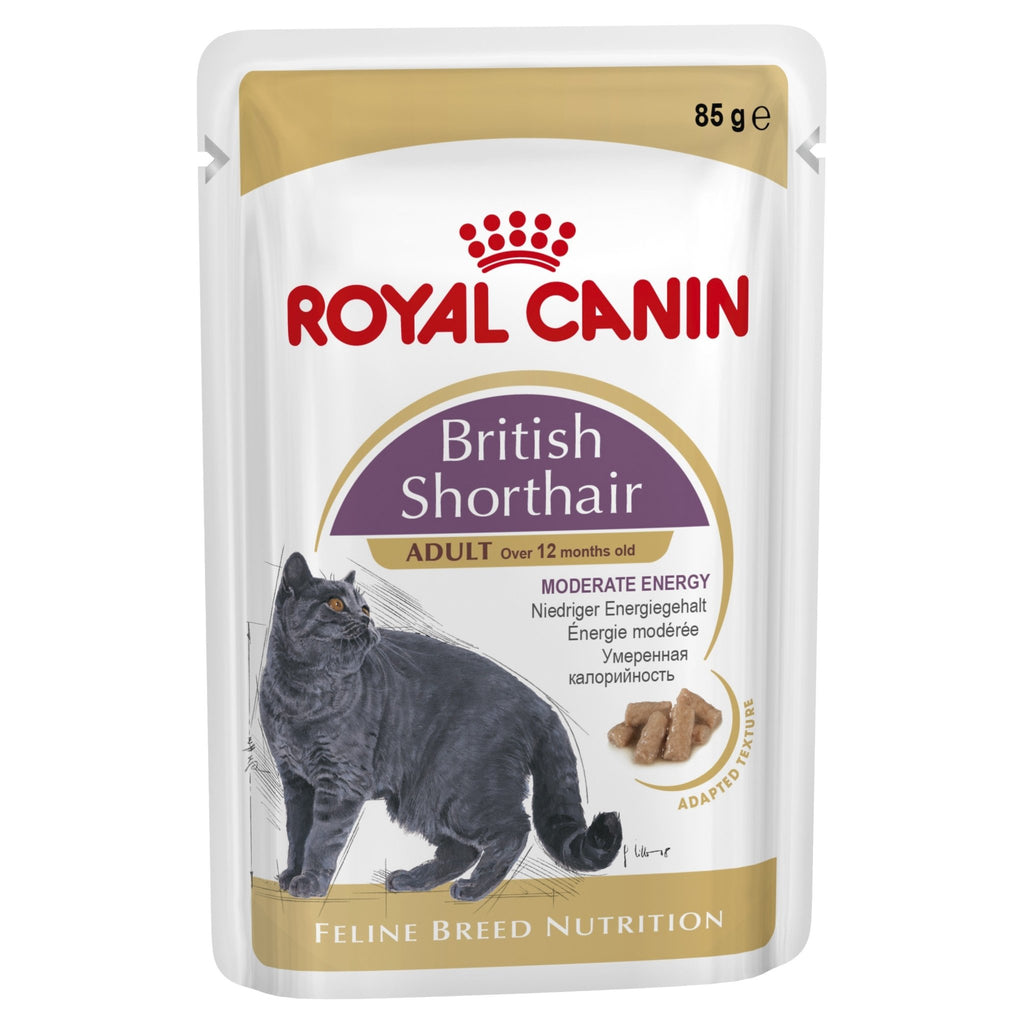 Royal Canin British Shorthair Adult Cat Food 85g x12 - PetBuy