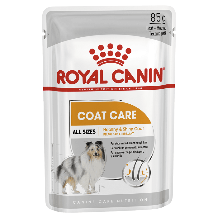 Royal Canin Coat Care Adult Dog Pouch 85gx12 - PetBuy
