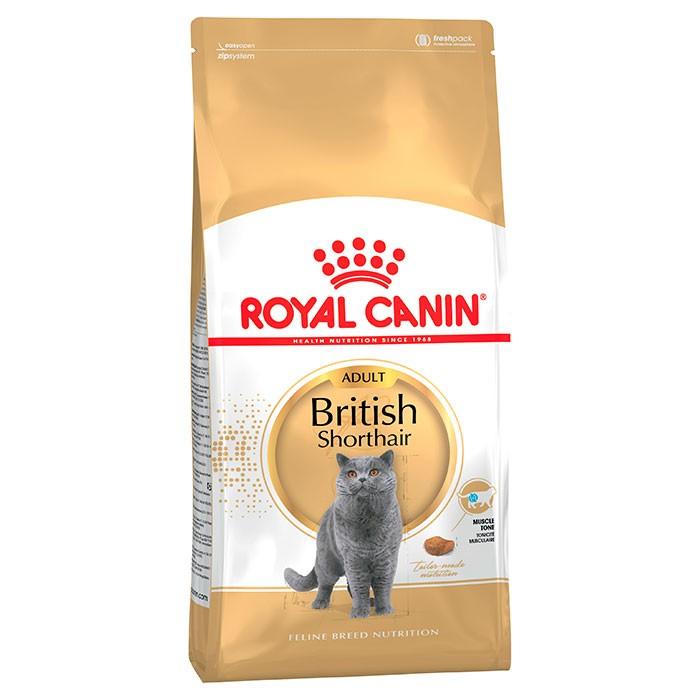 Royal Canin Feline British Shorthair Adult Cat Food - PetBuy