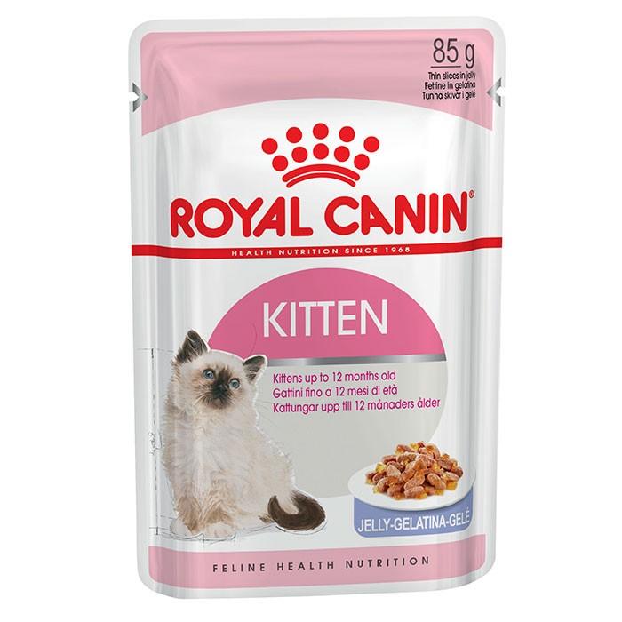 Royal Canin Kitten Food in Jelly 85g x12 - PetBuy